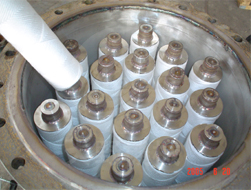 �ձ���Ұ�Cе�Vоʽ�^�V���aƷ�D