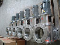 ���νo���y